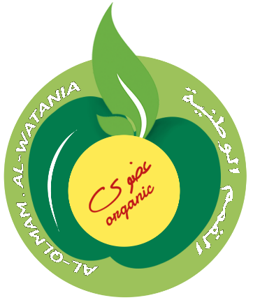 Matjrah Logo